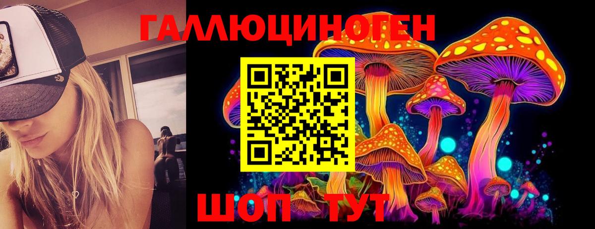 Псилоцибиновые грибы прущие грибы  Вход с VPN  Донской  Галлюциногенные грибы Psilocybine cubensis 