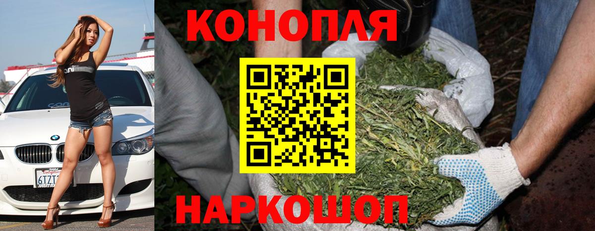 Бошки марихуана конопля Донской